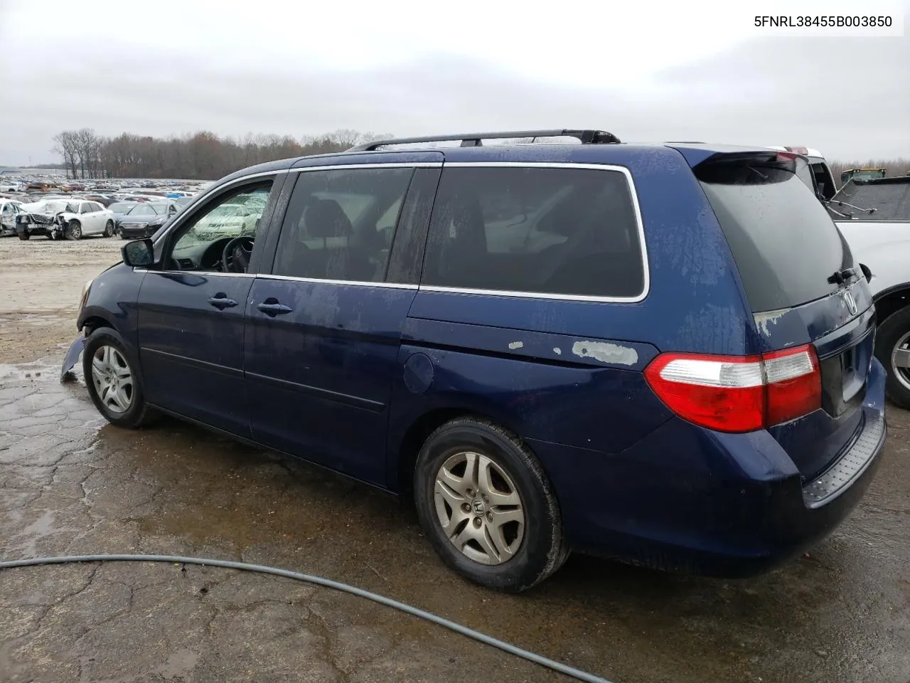 2005 Honda Odyssey Ex VIN: 5FNRL38455B003850 Lot: 70510384