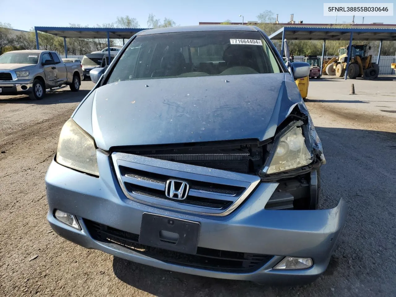 2005 Honda Odyssey Touring VIN: 5FNRL38855B030646 Lot: 71664404