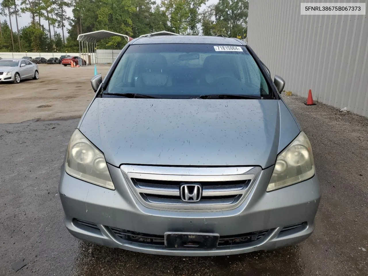 2005 Honda Odyssey Exl VIN: 5FNRL38675B067373 Lot: 71815984