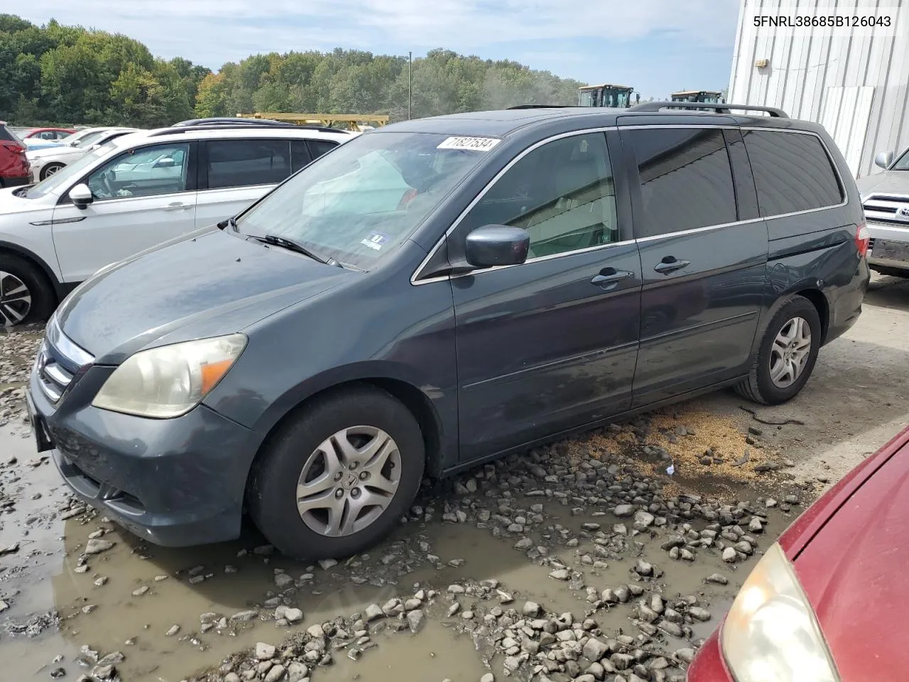 2005 Honda Odyssey Exl VIN: 5FNRL38685B126043 Lot: 71827534