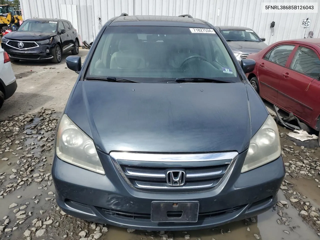 5FNRL38685B126043 2005 Honda Odyssey Exl