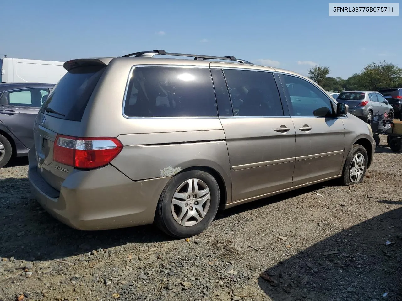 2005 Honda Odyssey Exl VIN: 5FNRL38775B075711 Lot: 72536014