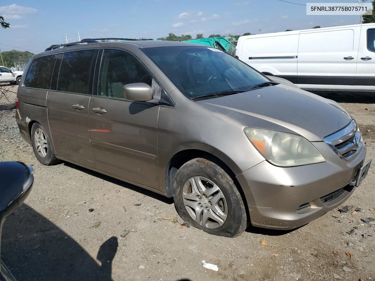 2005 Honda Odyssey Exl VIN: 5FNRL38775B075711 Lot: 72536014