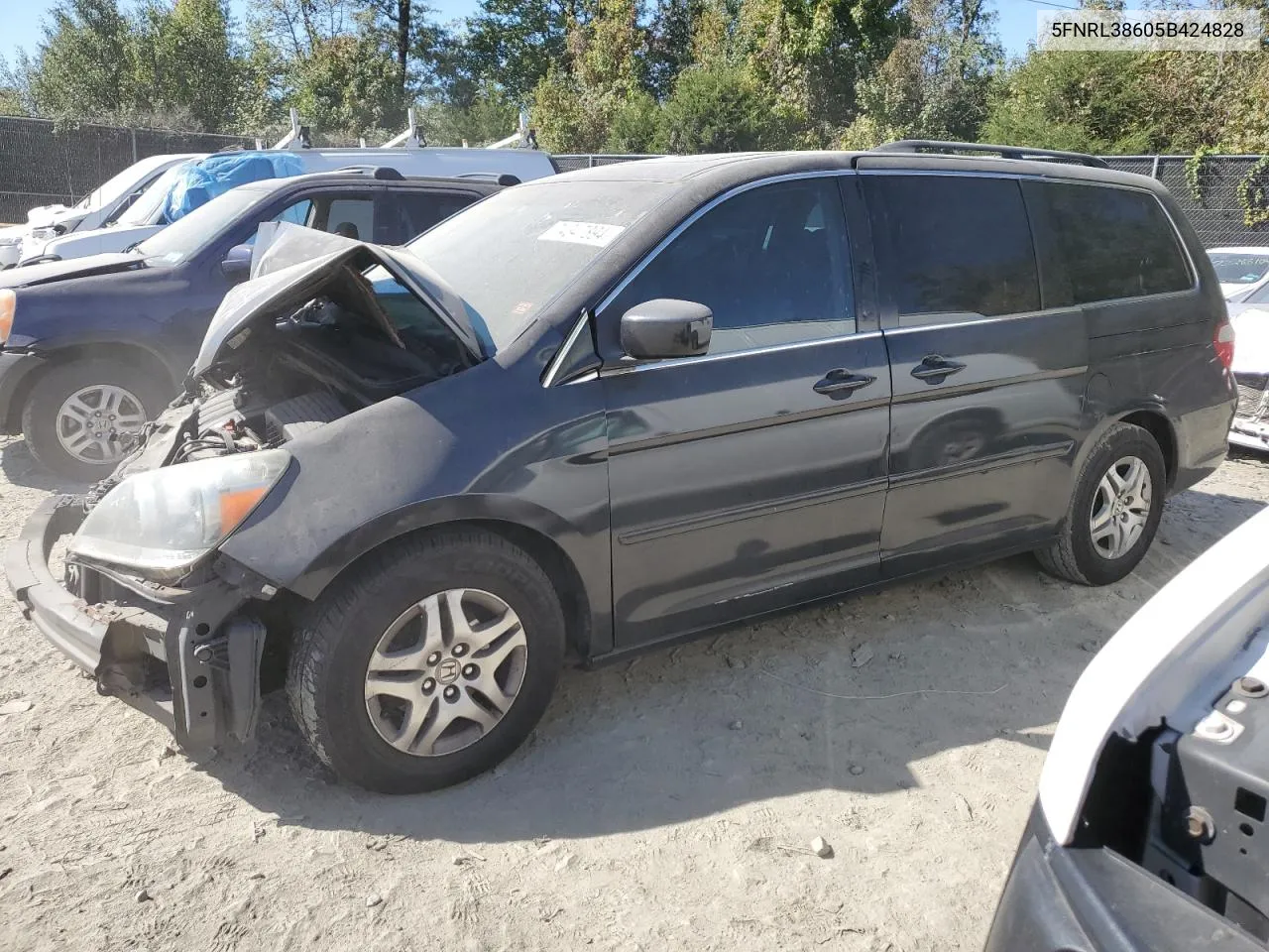 2005 Honda Odyssey Exl VIN: 5FNRL38605B424828 Lot: 74347894