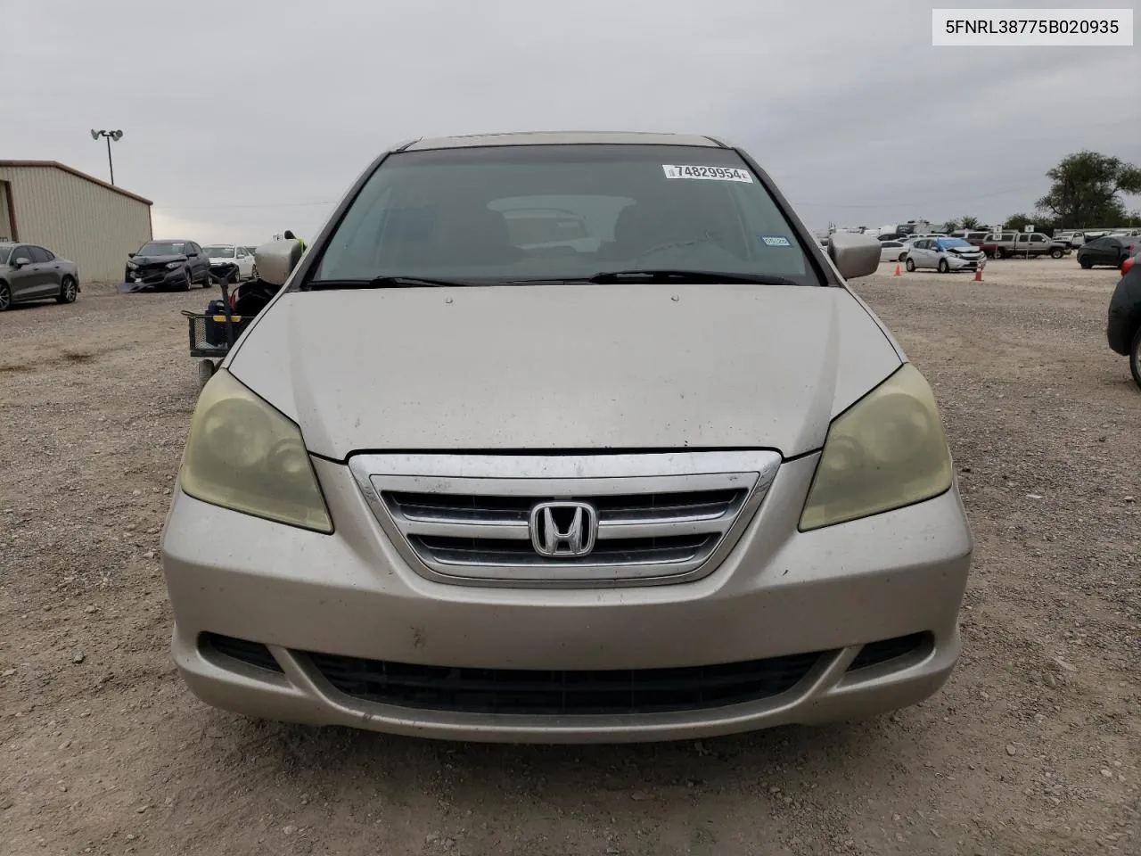 2005 Honda Odyssey Exl VIN: 5FNRL38775B020935 Lot: 74829954