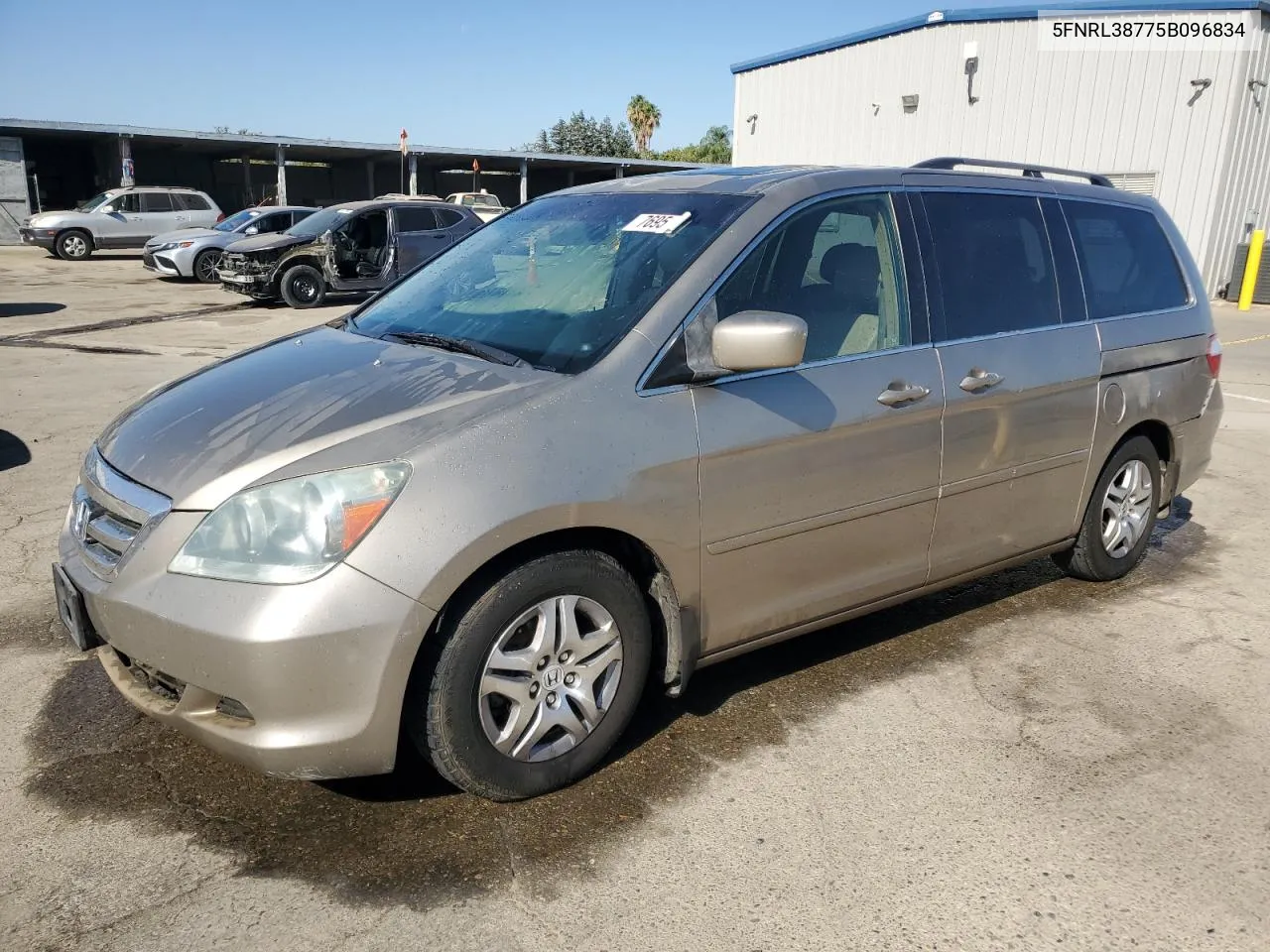 2005 Honda Odyssey Exl VIN: 5FNRL38775B096834 Lot: 76959994