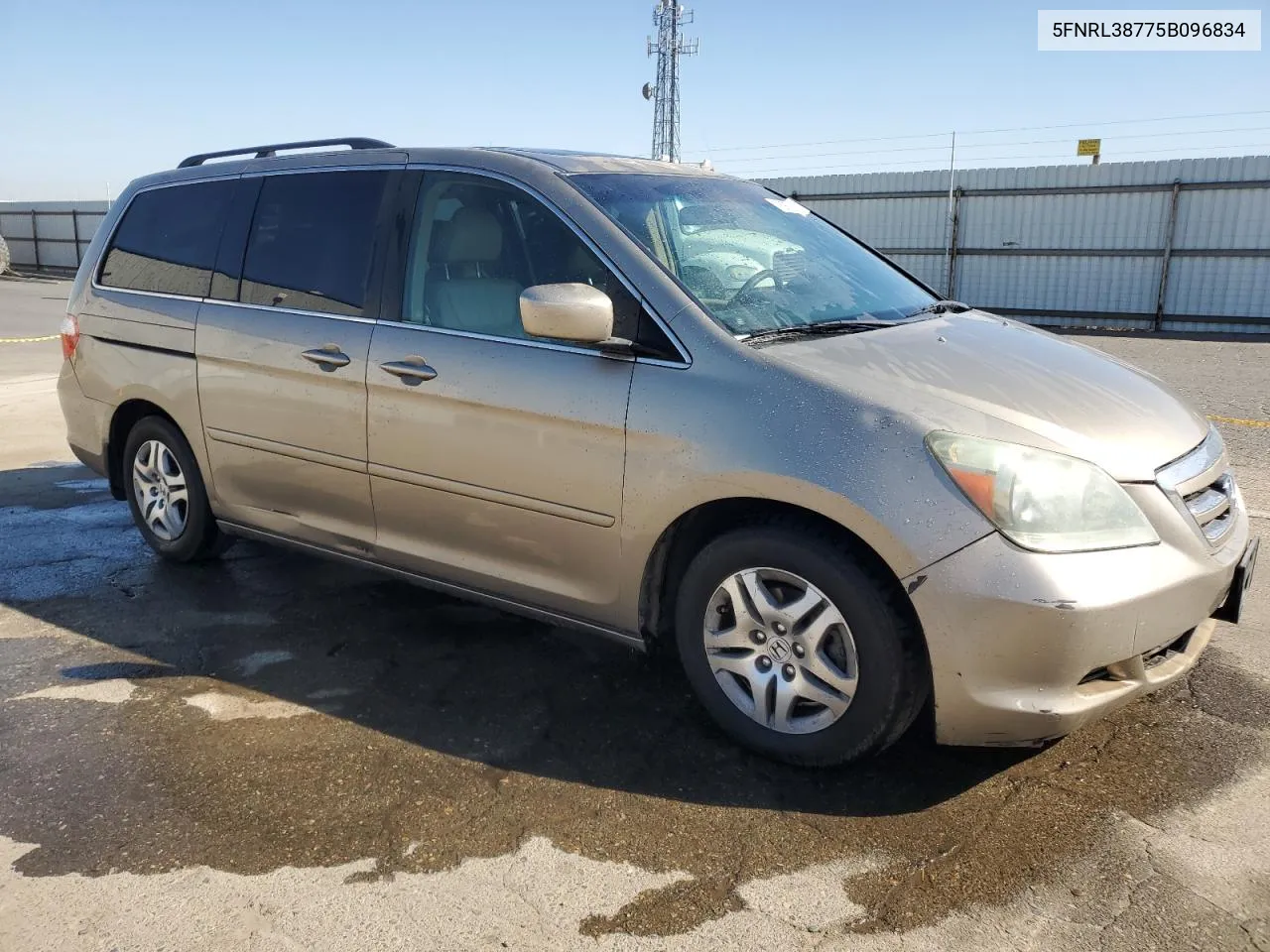 2005 Honda Odyssey Exl VIN: 5FNRL38775B096834 Lot: 76959994