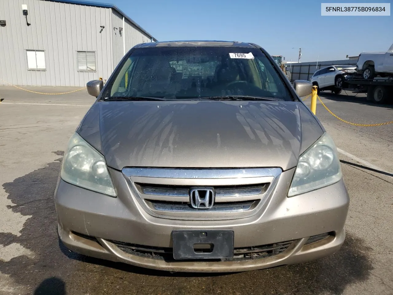 2005 Honda Odyssey Exl VIN: 5FNRL38775B096834 Lot: 76959994