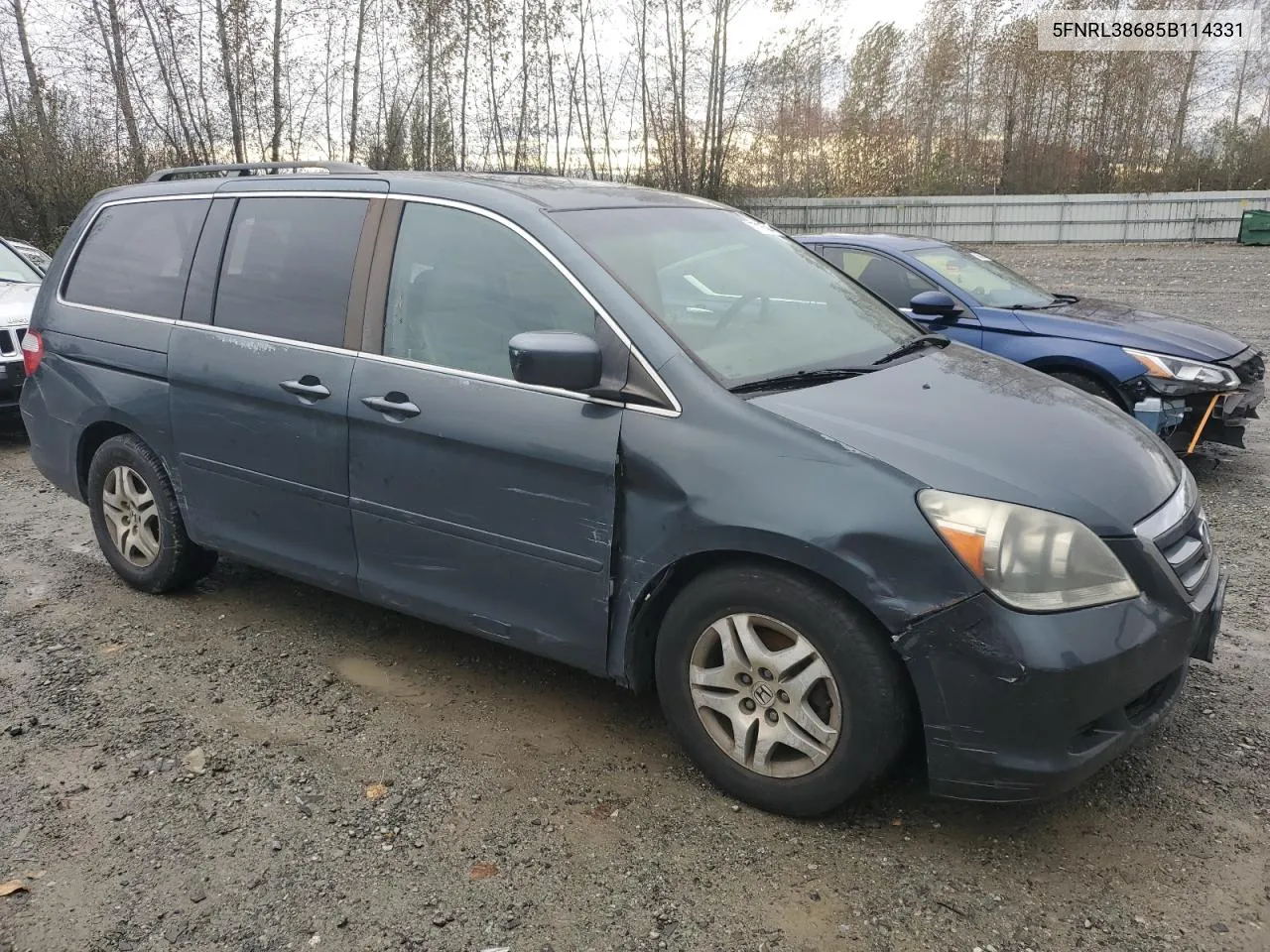 2005 Honda Odyssey Exl VIN: 5FNRL38685B114331 Lot: 77175044