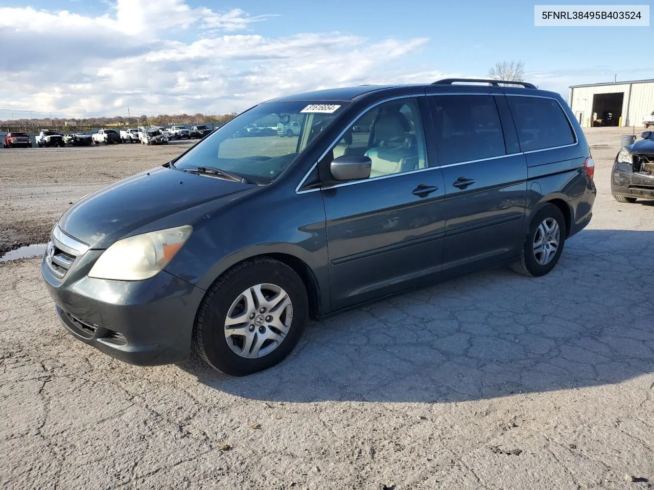 2005 Honda Odyssey Ex VIN: 5FNRL38495B403524 Lot: 81616654