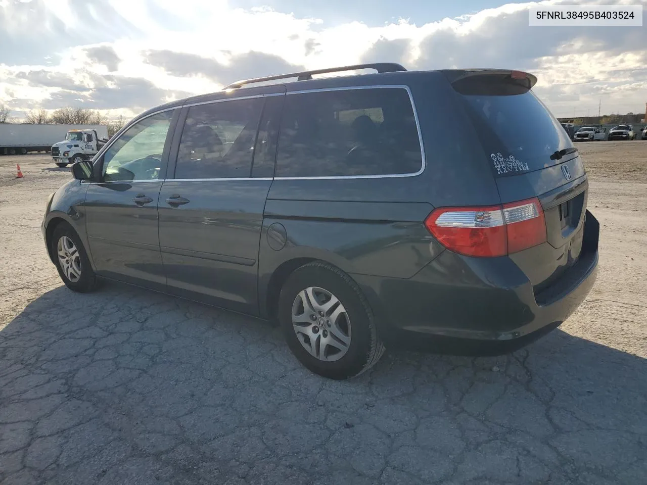 2005 Honda Odyssey Ex VIN: 5FNRL38495B403524 Lot: 81616654