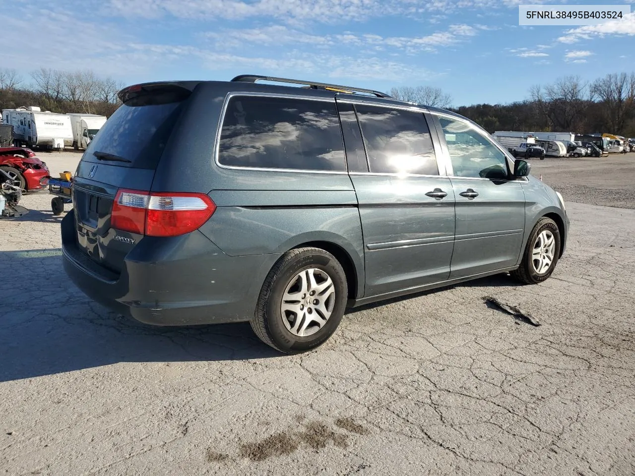 2005 Honda Odyssey Ex VIN: 5FNRL38495B403524 Lot: 81616654