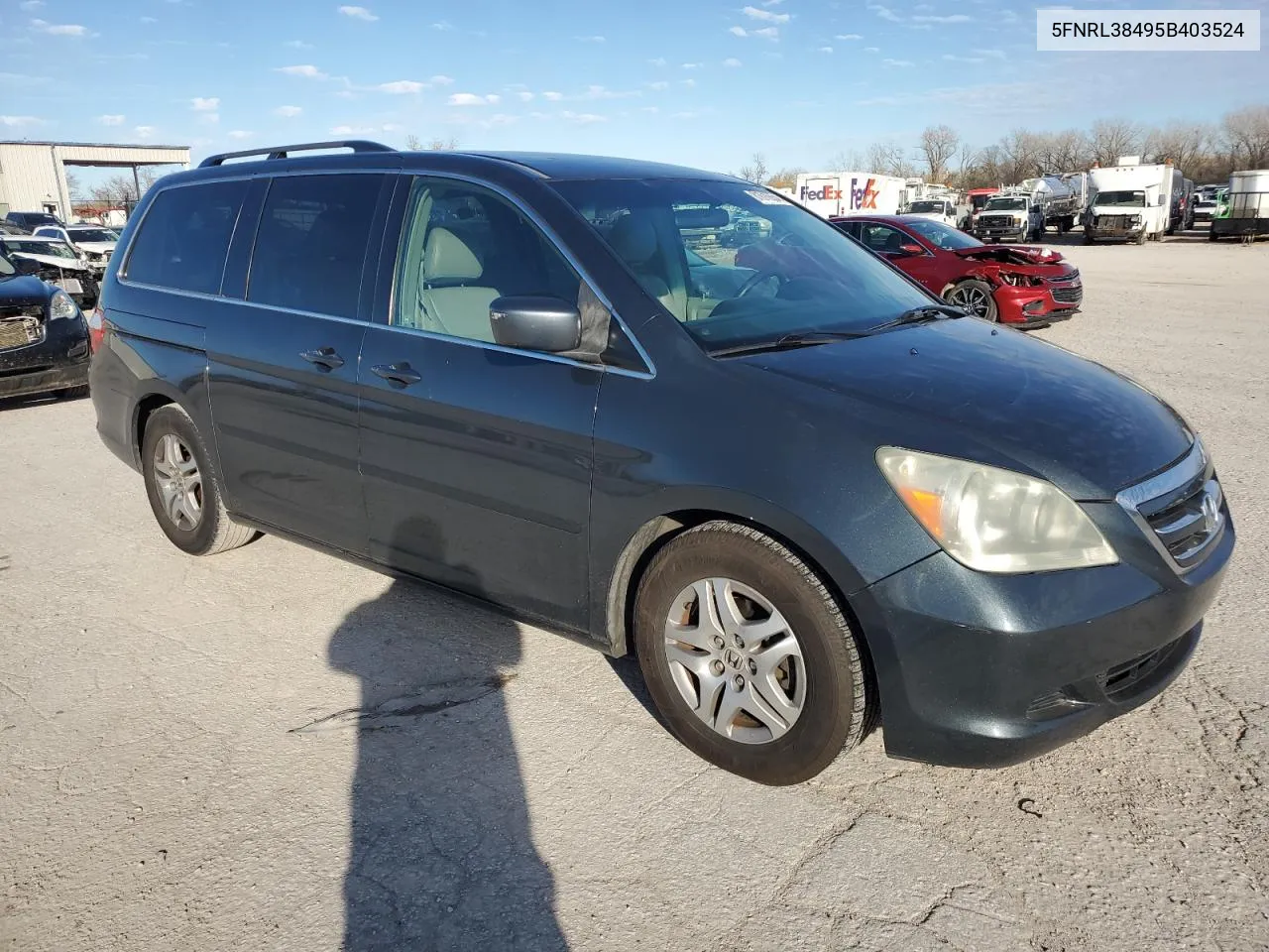 2005 Honda Odyssey Ex VIN: 5FNRL38495B403524 Lot: 81616654