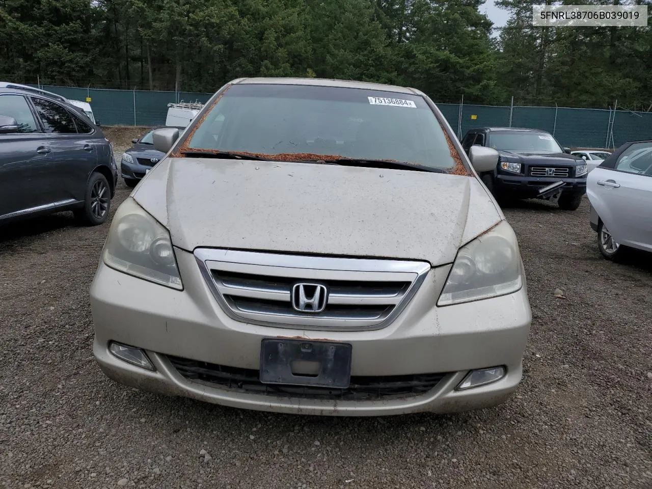 2006 Honda Odyssey Exl VIN: 5FNRL38706B039019 Lot: 75136884