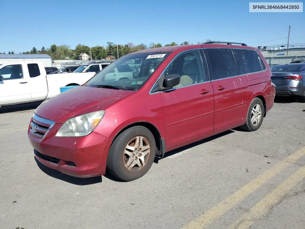 5FNRL38466B442850 2006 Honda Odyssey Ex