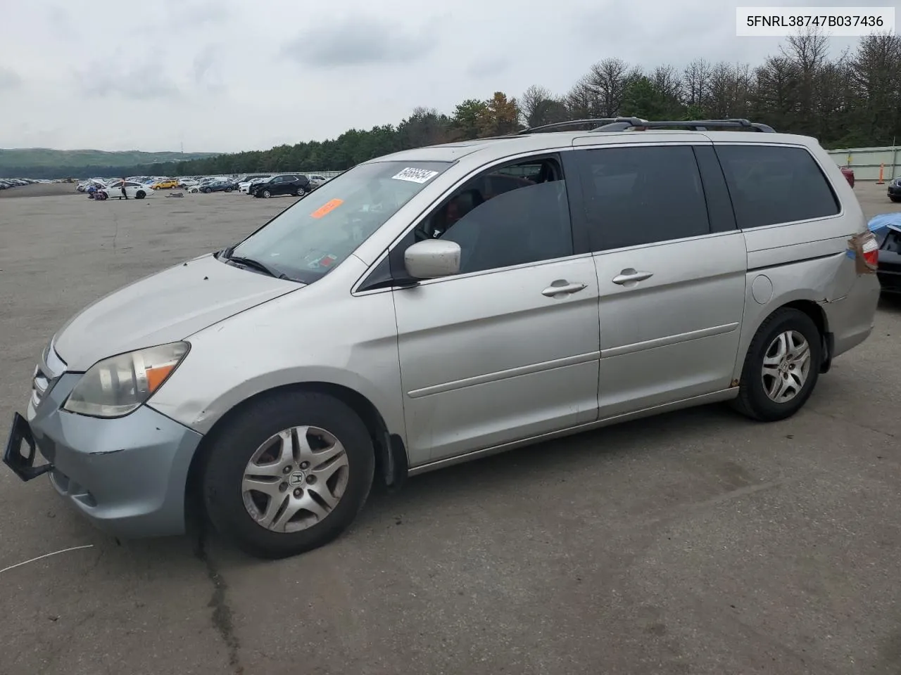 2007 Honda Odyssey Exl VIN: 5FNRL38747B037436 Lot: 64666454