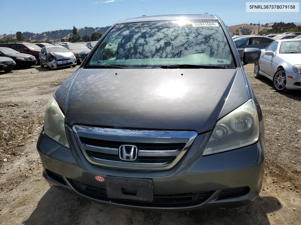 2007 Honda Odyssey Exl VIN: 5FNRL38737B079158 Lot: 66941604