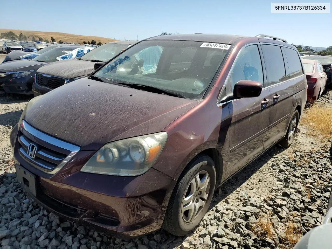 2007 Honda Odyssey Exl VIN: 5FNRL38737B126334 Lot: 68347424