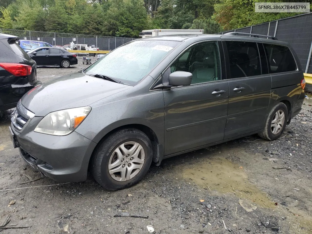 2007 Honda Odyssey Exl VIN: 5FNRL386X7B445799 Lot: 73323174