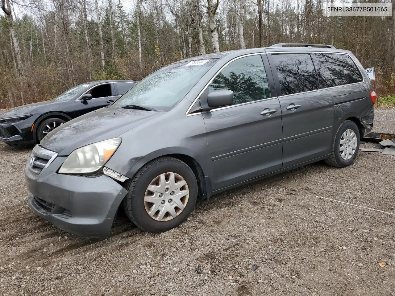 2007 Honda Odyssey Exl VIN: 5FNRL38677B501665 Lot: 73505644