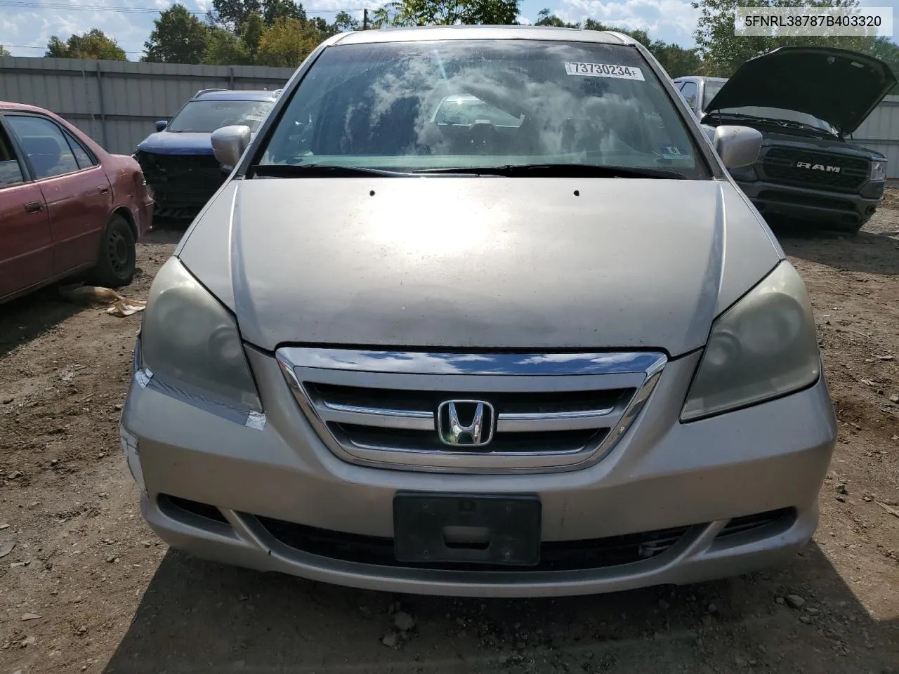 2007 Honda Odyssey Exl VIN: 5FNRL38787B403320 Lot: 73730234