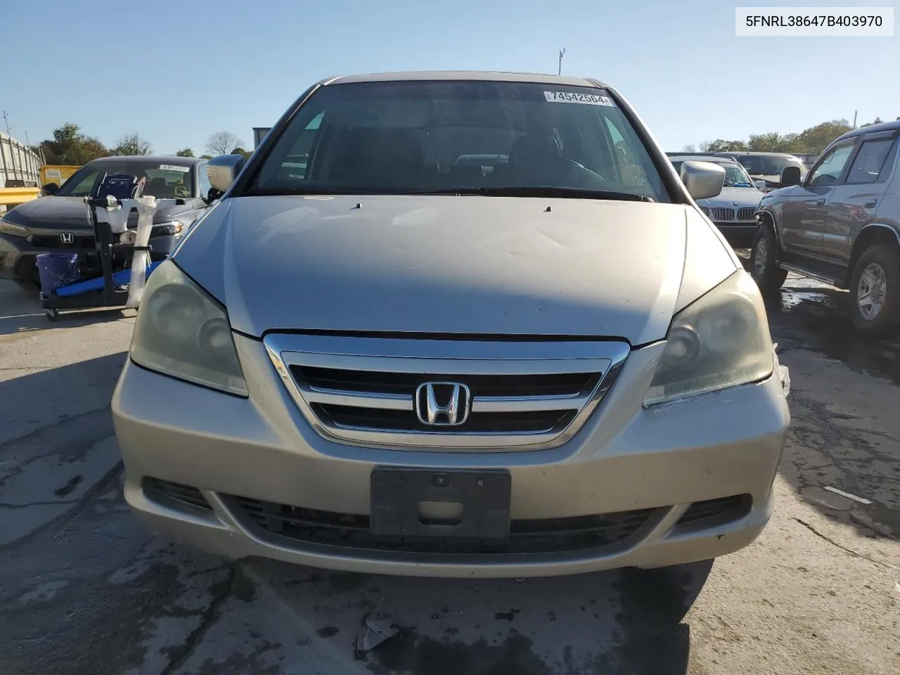 2007 Honda Odyssey Exl VIN: 5FNRL38647B403970 Lot: 74542564