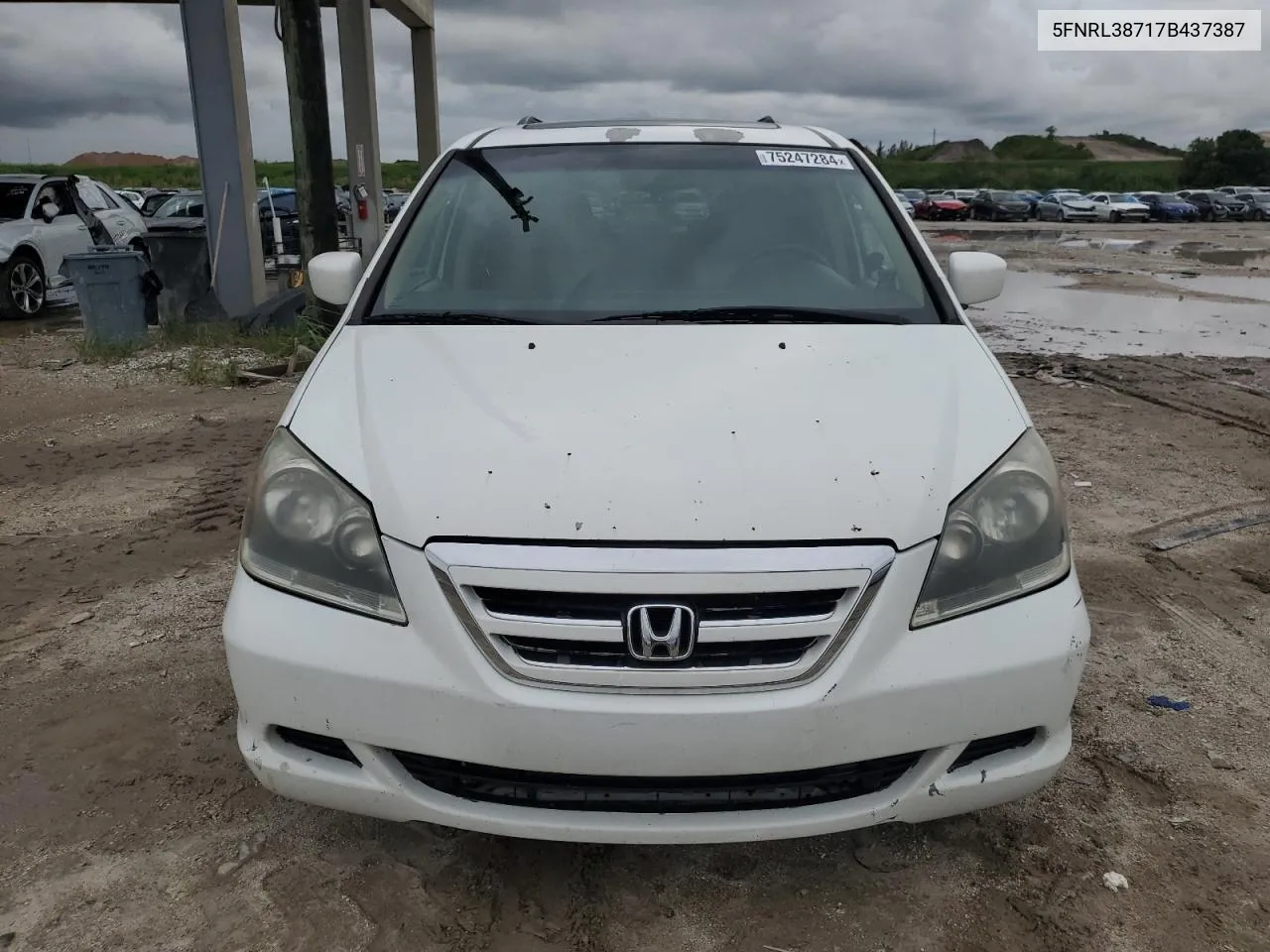 2007 Honda Odyssey Exl VIN: 5FNRL38717B437387 Lot: 75247284