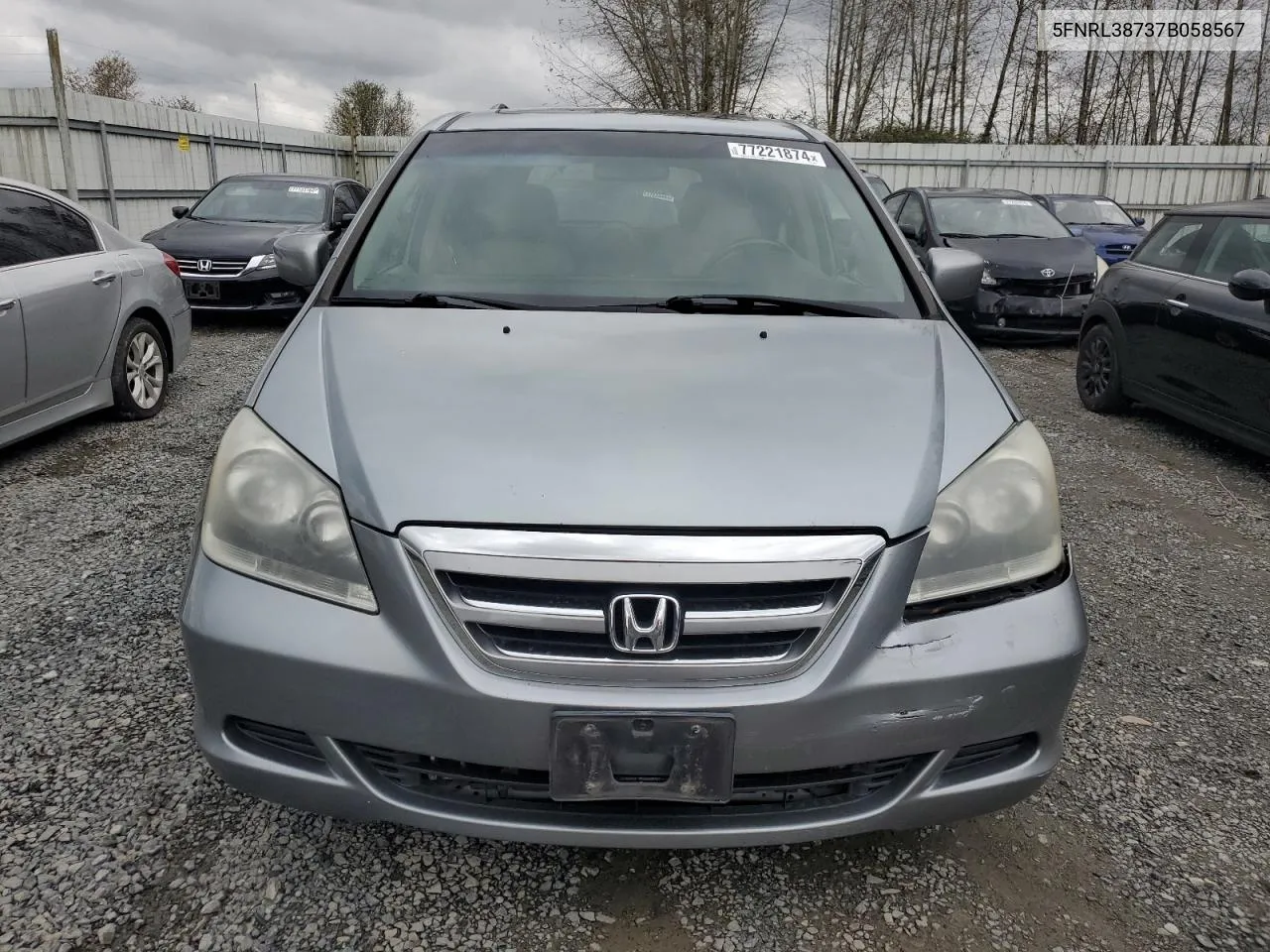 2007 Honda Odyssey Exl VIN: 5FNRL38737B058567 Lot: 77221874