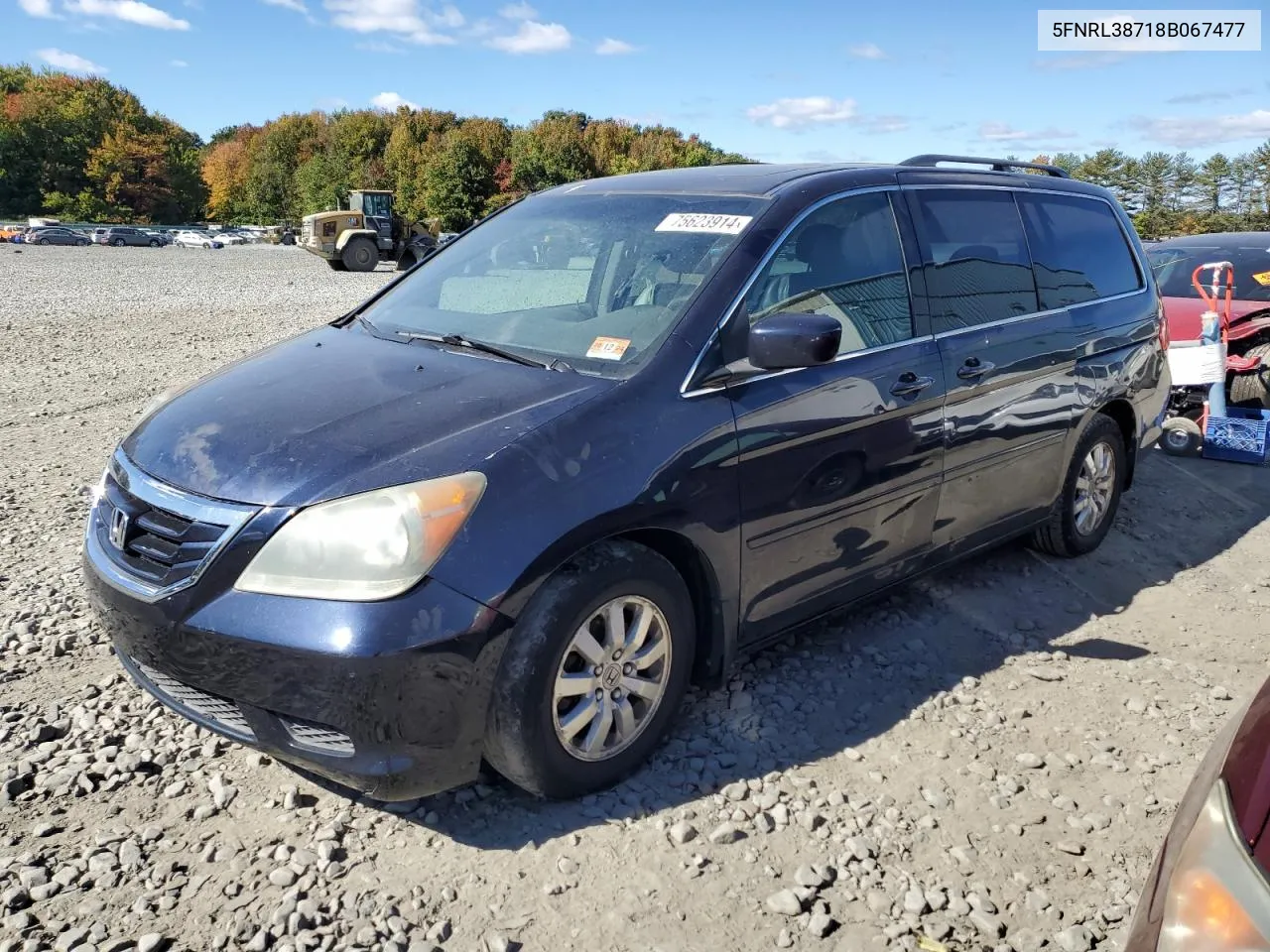 2008 Honda Odyssey Exl VIN: 5FNRL38718B067477 Lot: 75623914