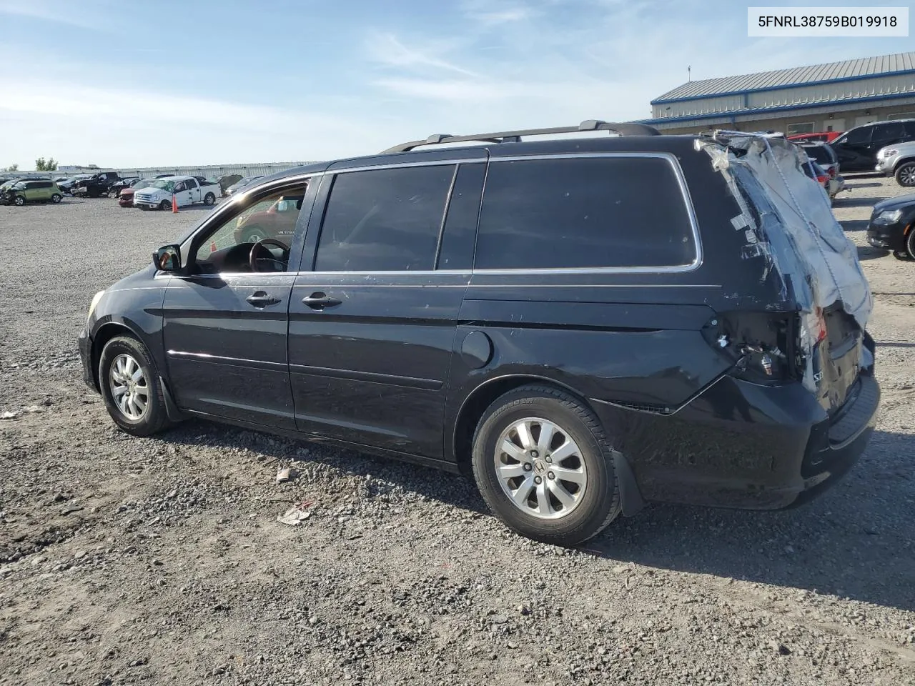 2009 Honda Odyssey Exl VIN: 5FNRL38759B019918 Lot: 51644994