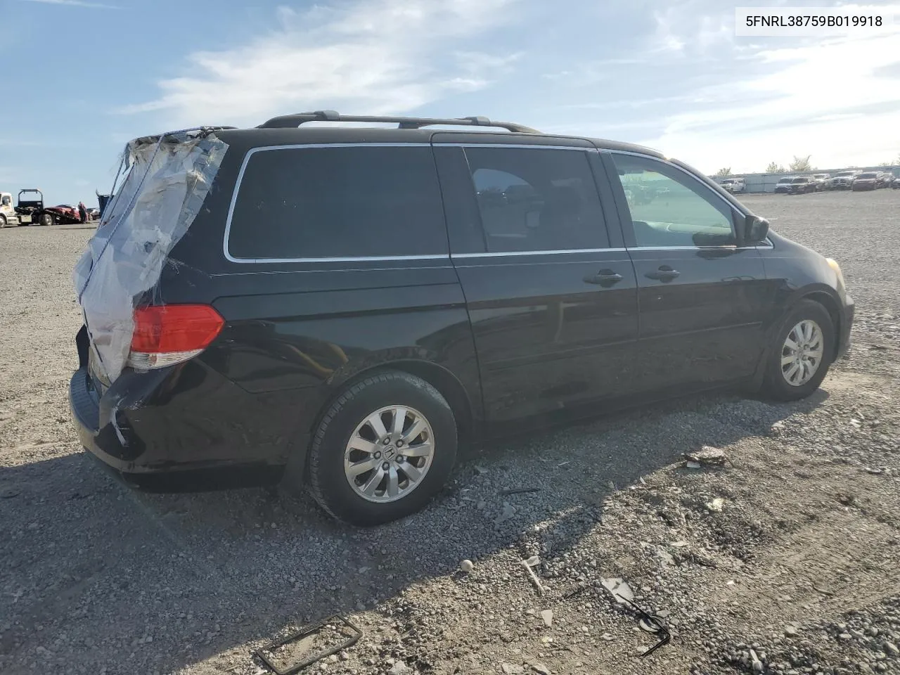 2009 Honda Odyssey Exl VIN: 5FNRL38759B019918 Lot: 51644994