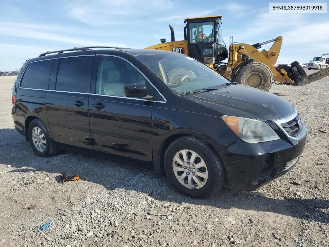 2009 Honda Odyssey Exl VIN: 5FNRL38759B019918 Lot: 51644994