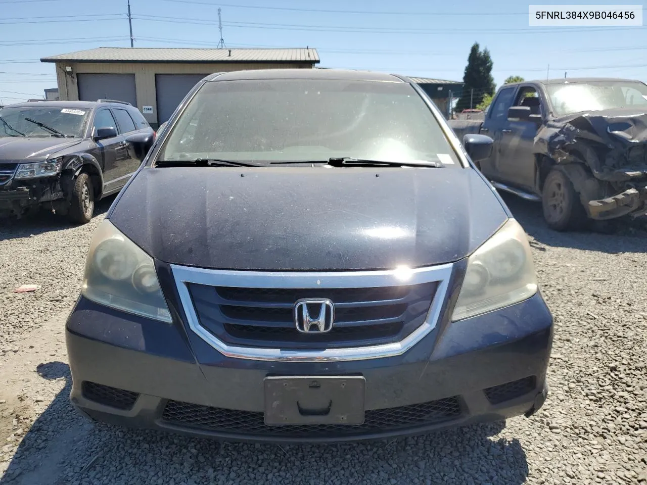 2009 Honda Odyssey Ex VIN: 5FNRL384X9B046456 Lot: 55519333