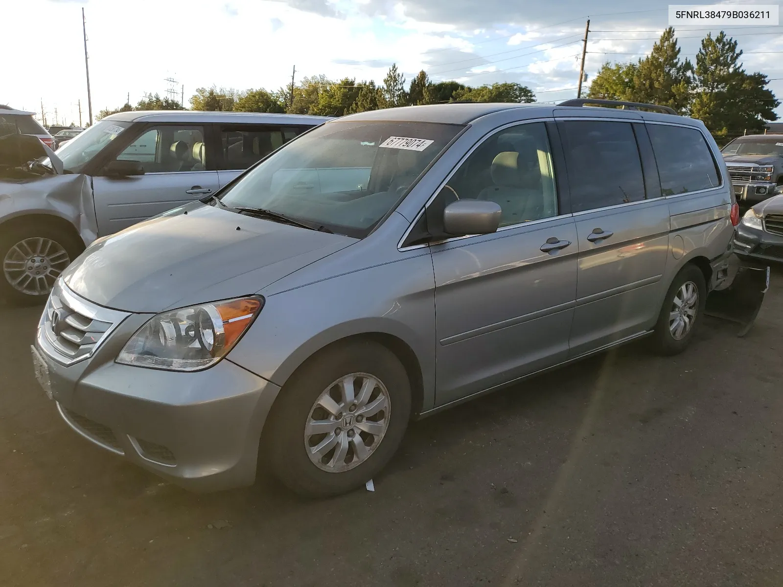 2009 Honda Odyssey Ex VIN: 5FNRL38479B036211 Lot: 67779074