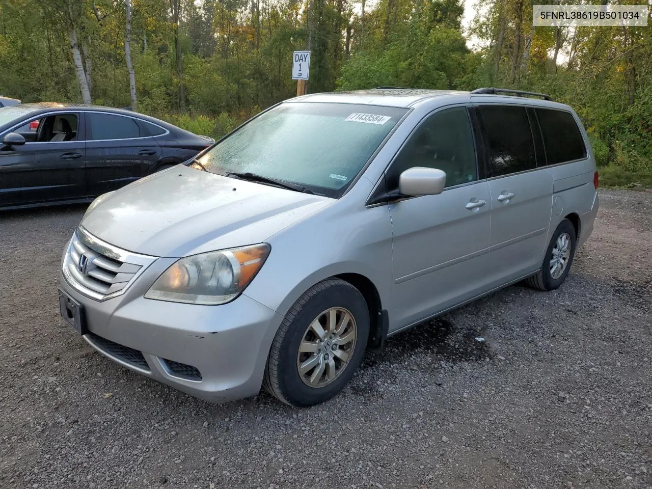 2009 Honda Odyssey Exl VIN: 5FNRL38619B501034 Lot: 71433584