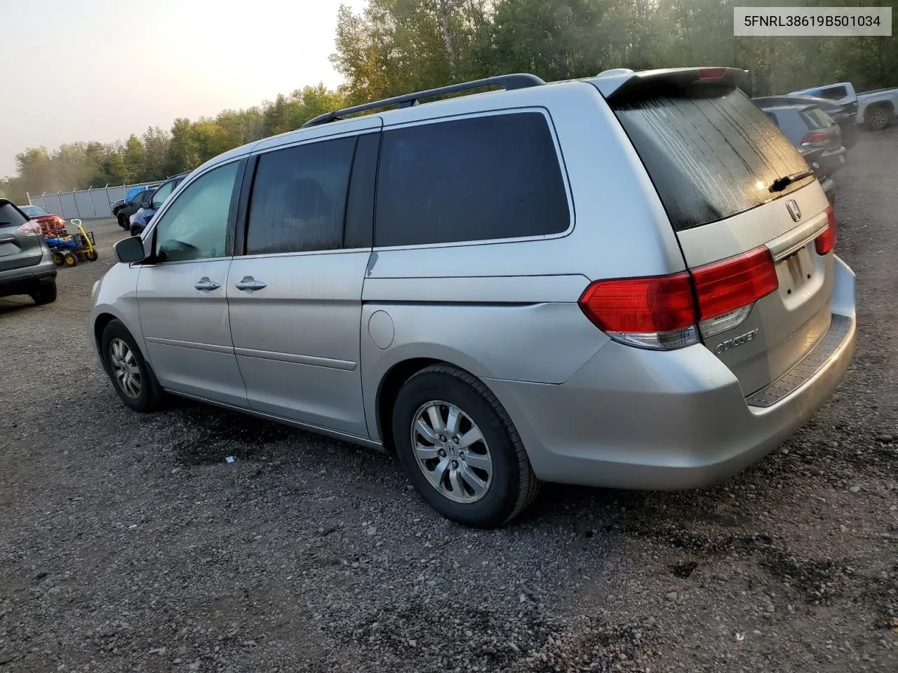 2009 Honda Odyssey Exl VIN: 5FNRL38619B501034 Lot: 71433584