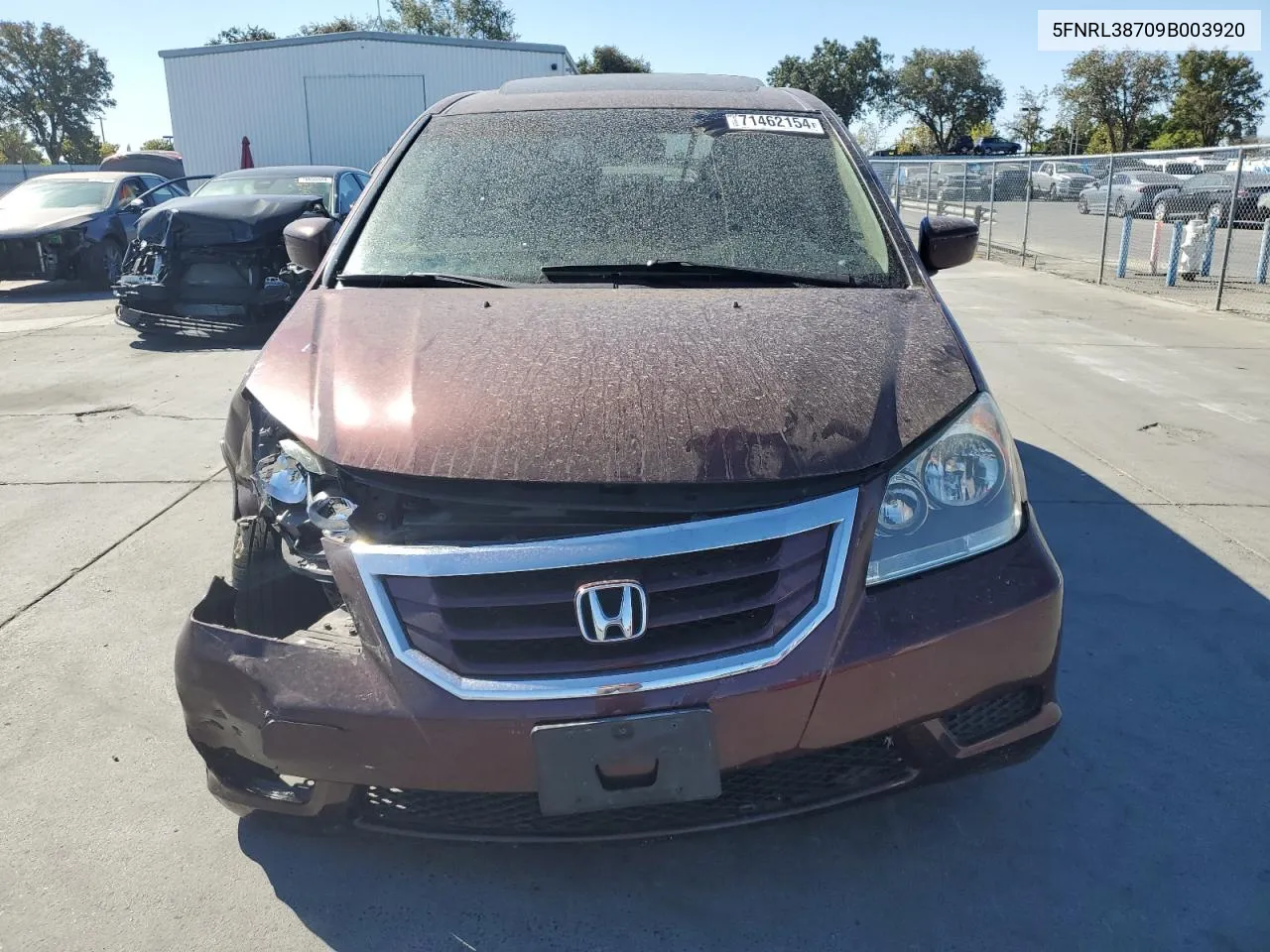 2009 Honda Odyssey Exl VIN: 5FNRL38709B003920 Lot: 71462154