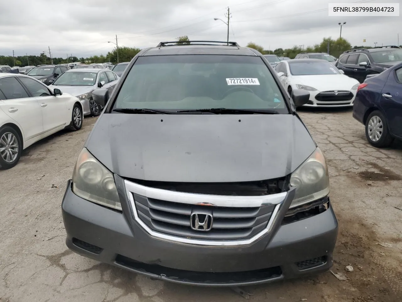 2009 Honda Odyssey Exl VIN: 5FNRL38799B404723 Lot: 72721914