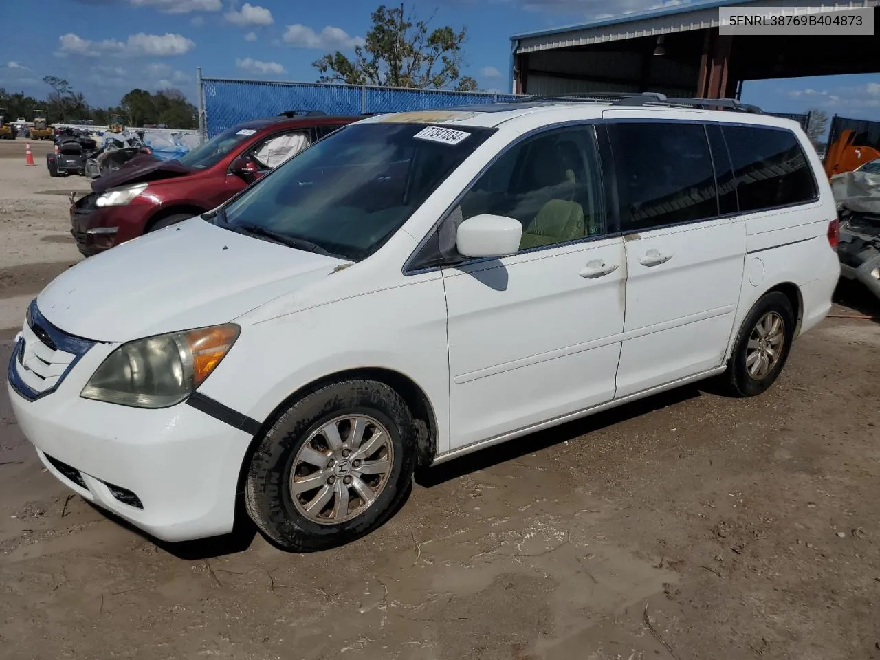 2009 Honda Odyssey Exl VIN: 5FNRL38769B404873 Lot: 77341034