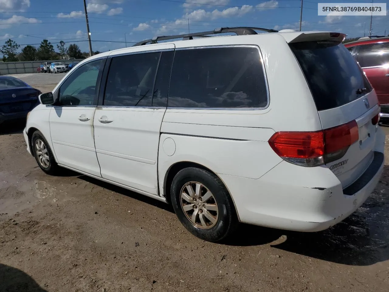 2009 Honda Odyssey Exl VIN: 5FNRL38769B404873 Lot: 77341034