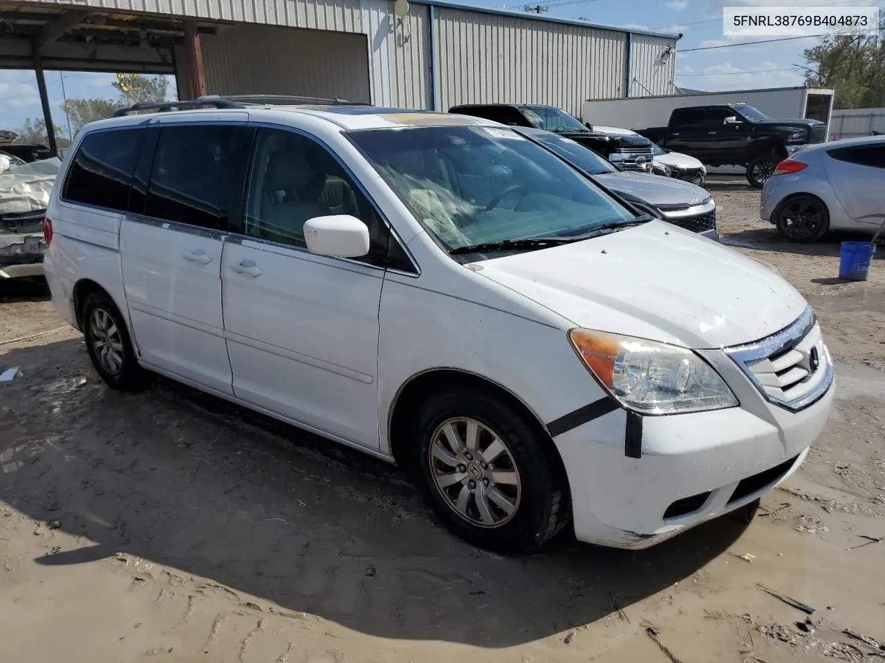 2009 Honda Odyssey Exl VIN: 5FNRL38769B404873 Lot: 77341034