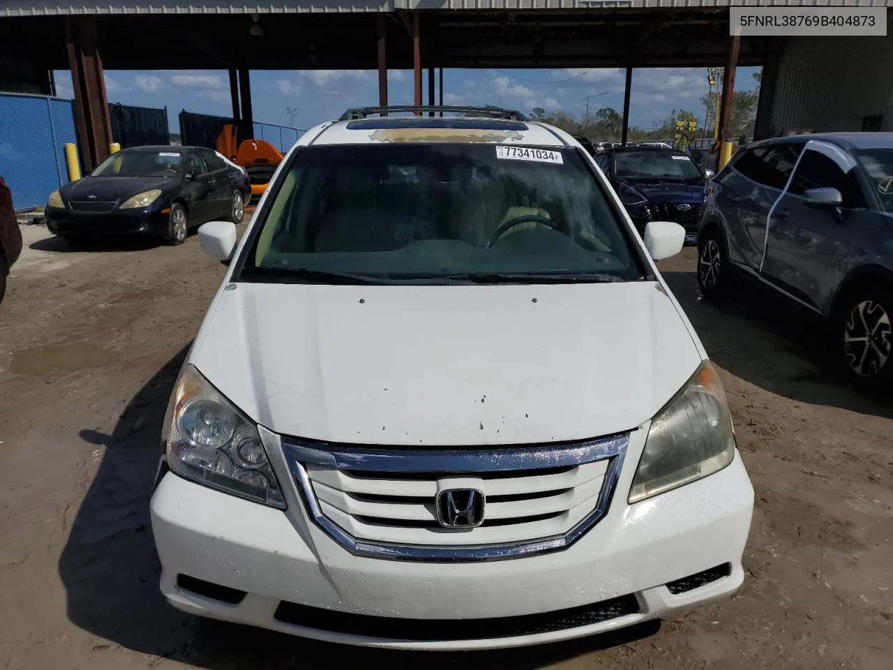 2009 Honda Odyssey Exl VIN: 5FNRL38769B404873 Lot: 77341034