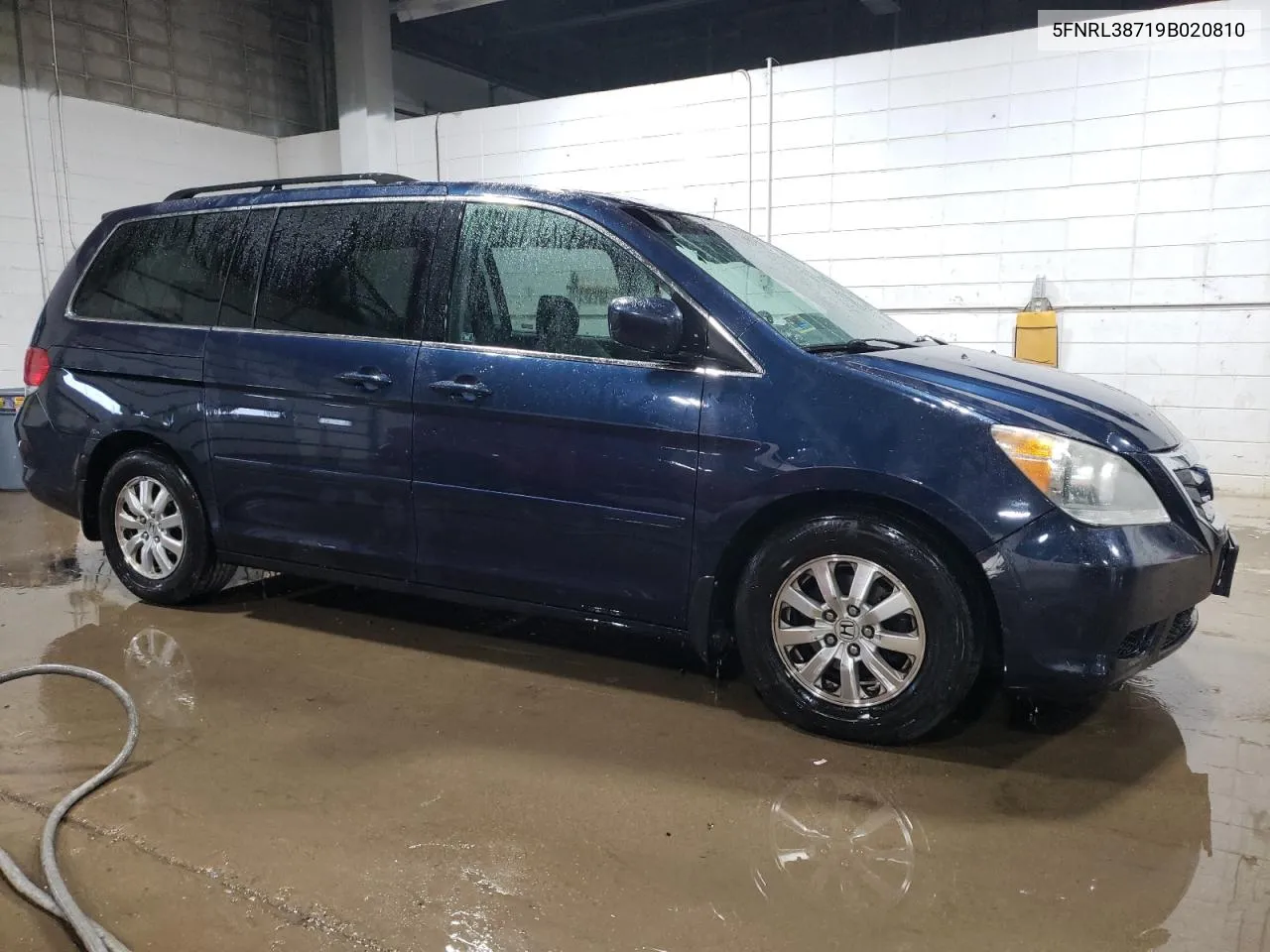 2009 Honda Odyssey Exl VIN: 5FNRL38719B020810 Lot: 77414284