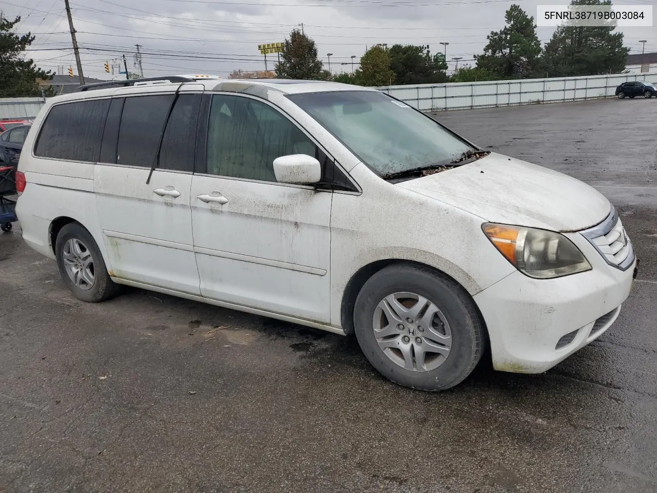 2009 Honda Odyssey Exl VIN: 5FNRL38719B003084 Lot: 78828444