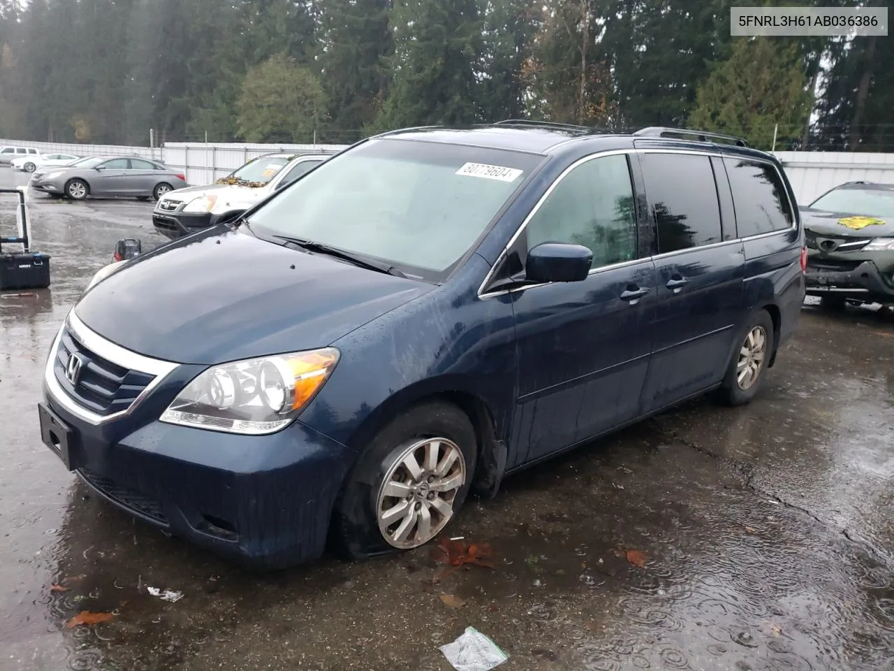 2010 Honda Odyssey Exl VIN: 5FNRL3H61AB036386 Lot: 80779604