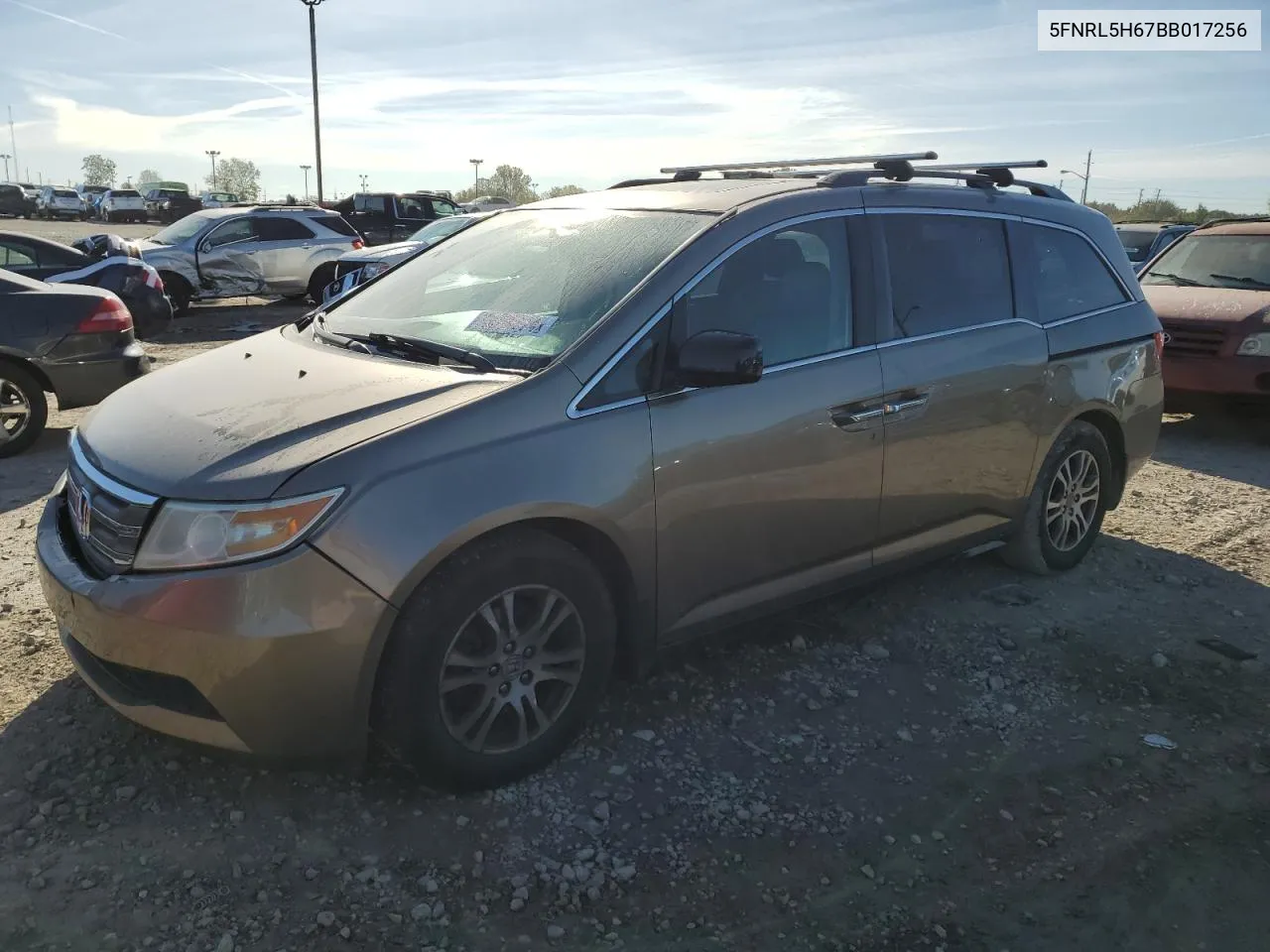 5FNRL5H67BB017256 2011 Honda Odyssey Exl