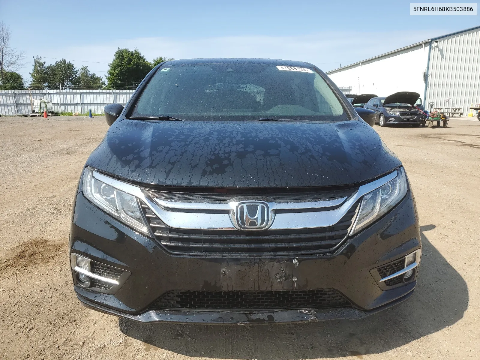 2019 Honda Odyssey Exl VIN: 5FNRL6H68KB503886 Lot: 67068134