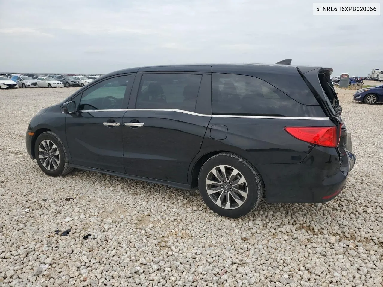 2023 Honda Odyssey Exl VIN: 5FNRL6H6XPB020066 Lot: 70266324