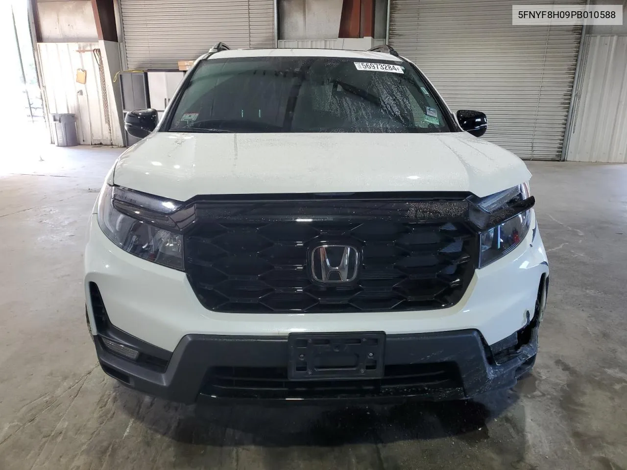 2023 Honda Passport Elite VIN: 5FNYF8H09PB010588 Lot: 56973284