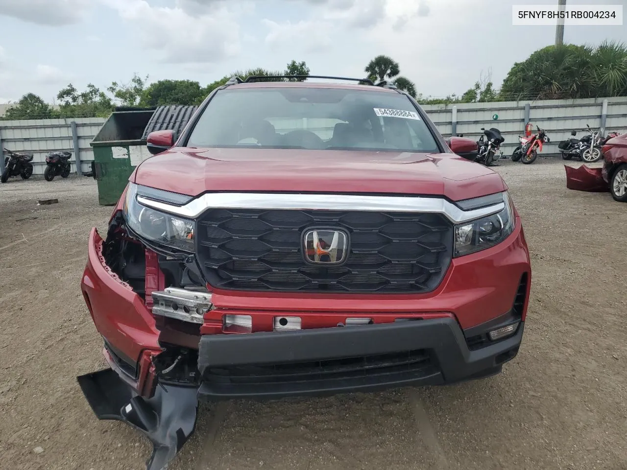 2024 Honda Passport Exl VIN: 5FNYF8H51RB004234 Lot: 54388884